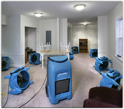 Leak Detection & Repair in Waukesha, WI