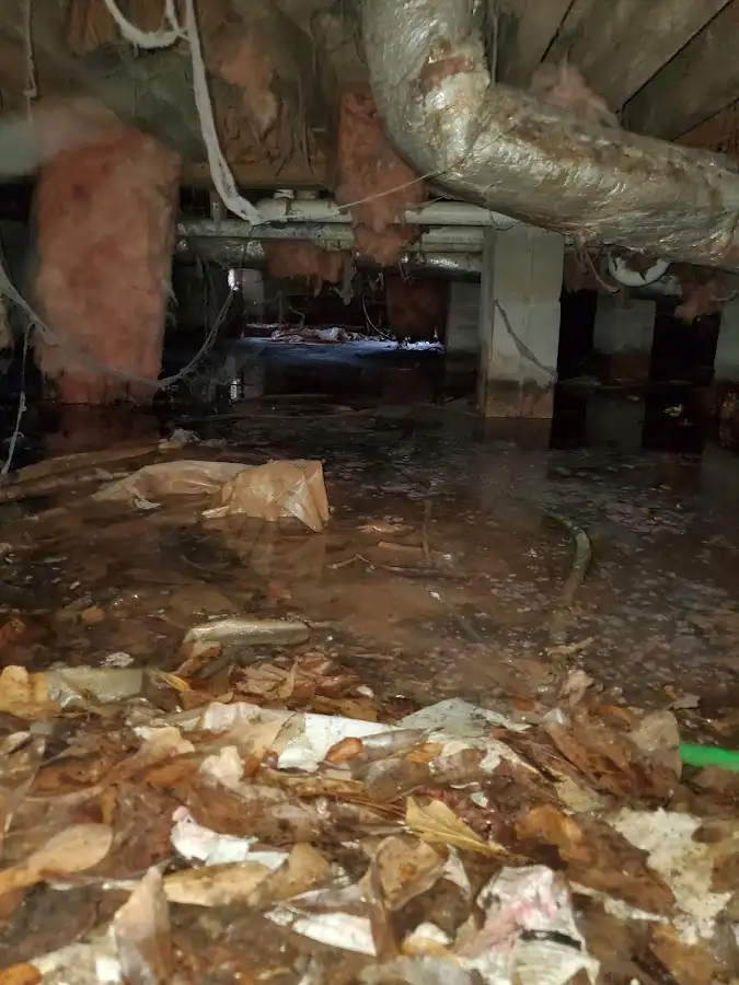 Crawl space flood assessment for Leak Detection & Repair in Waukesha